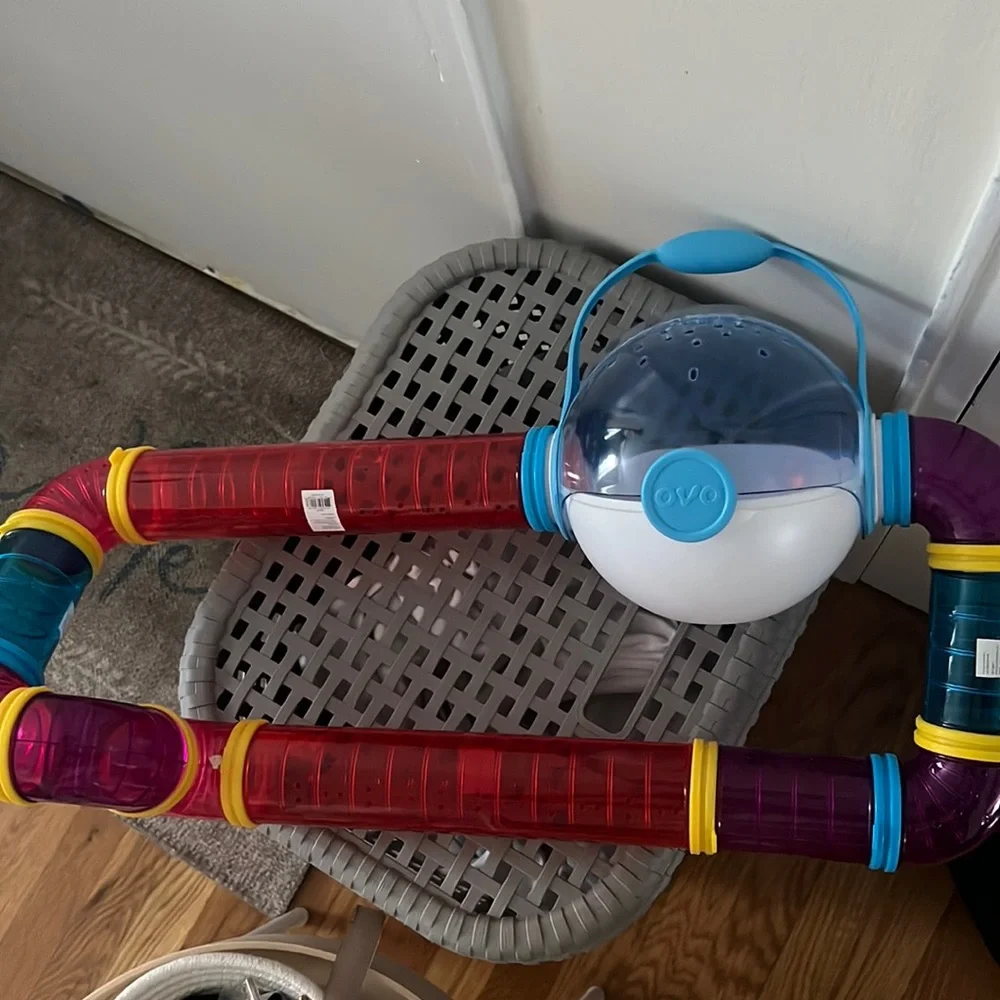 Hamster Tube